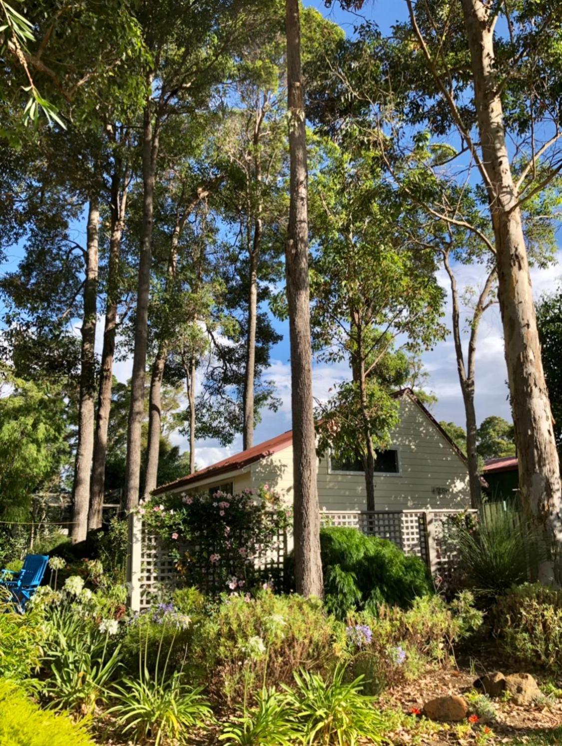 The Boulevard Garden Studio Apartman Margaret River Kültér fotó